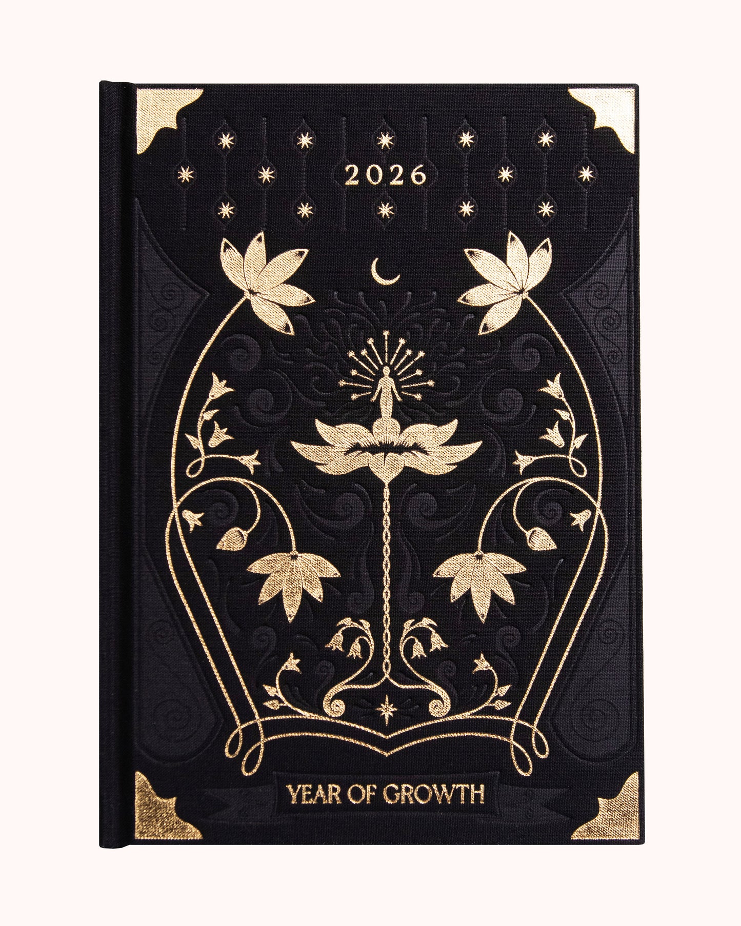 Journal Year of Growth 2026