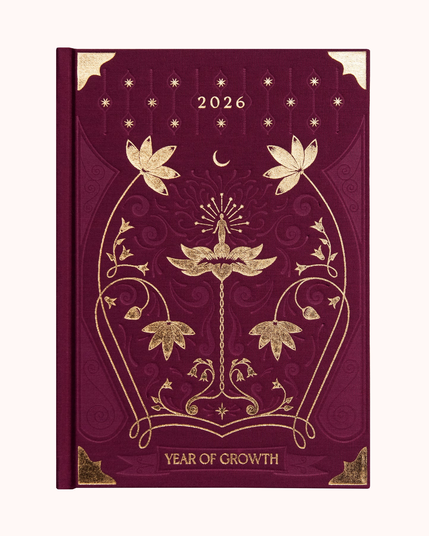 Journal Year of Growth 2026