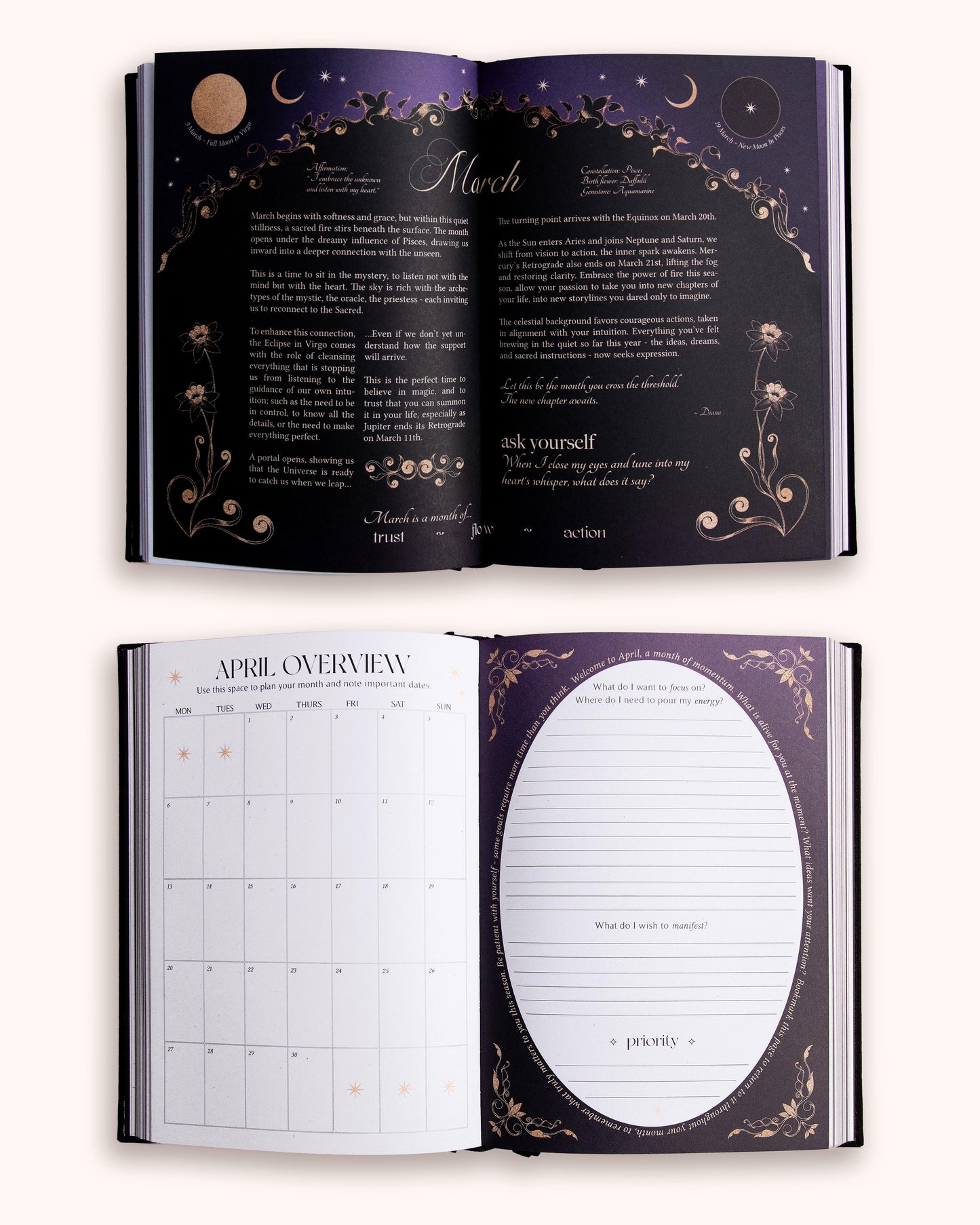 Journal Year of Growth 2026