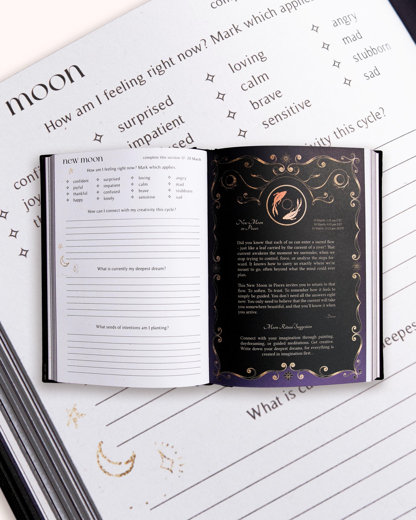 Journal Year of Growth 2026