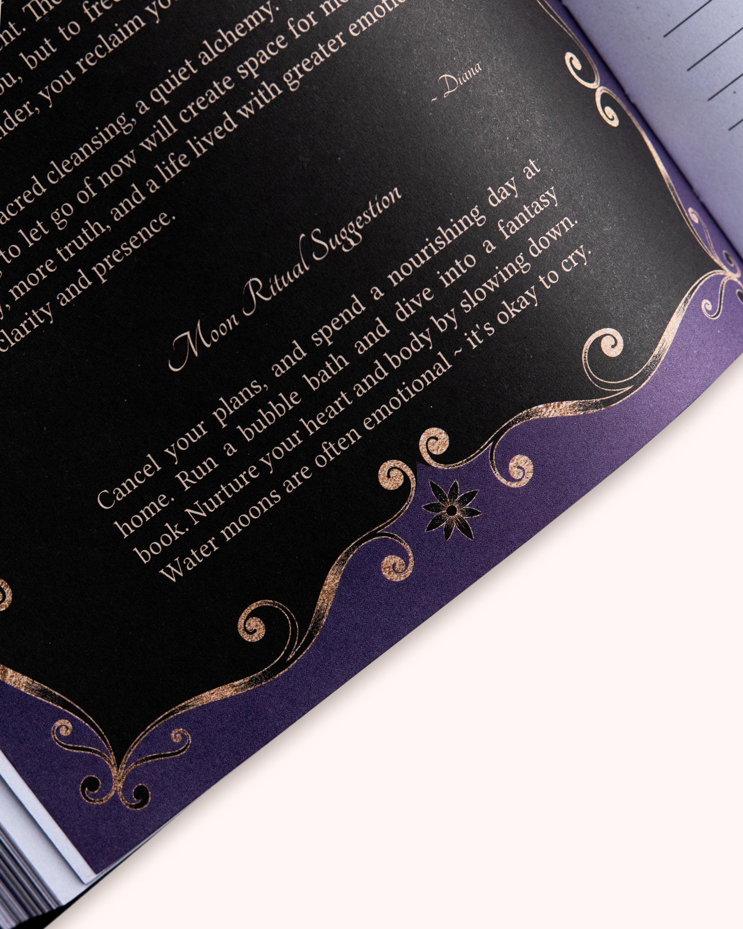 Journal Year of Growth 2026