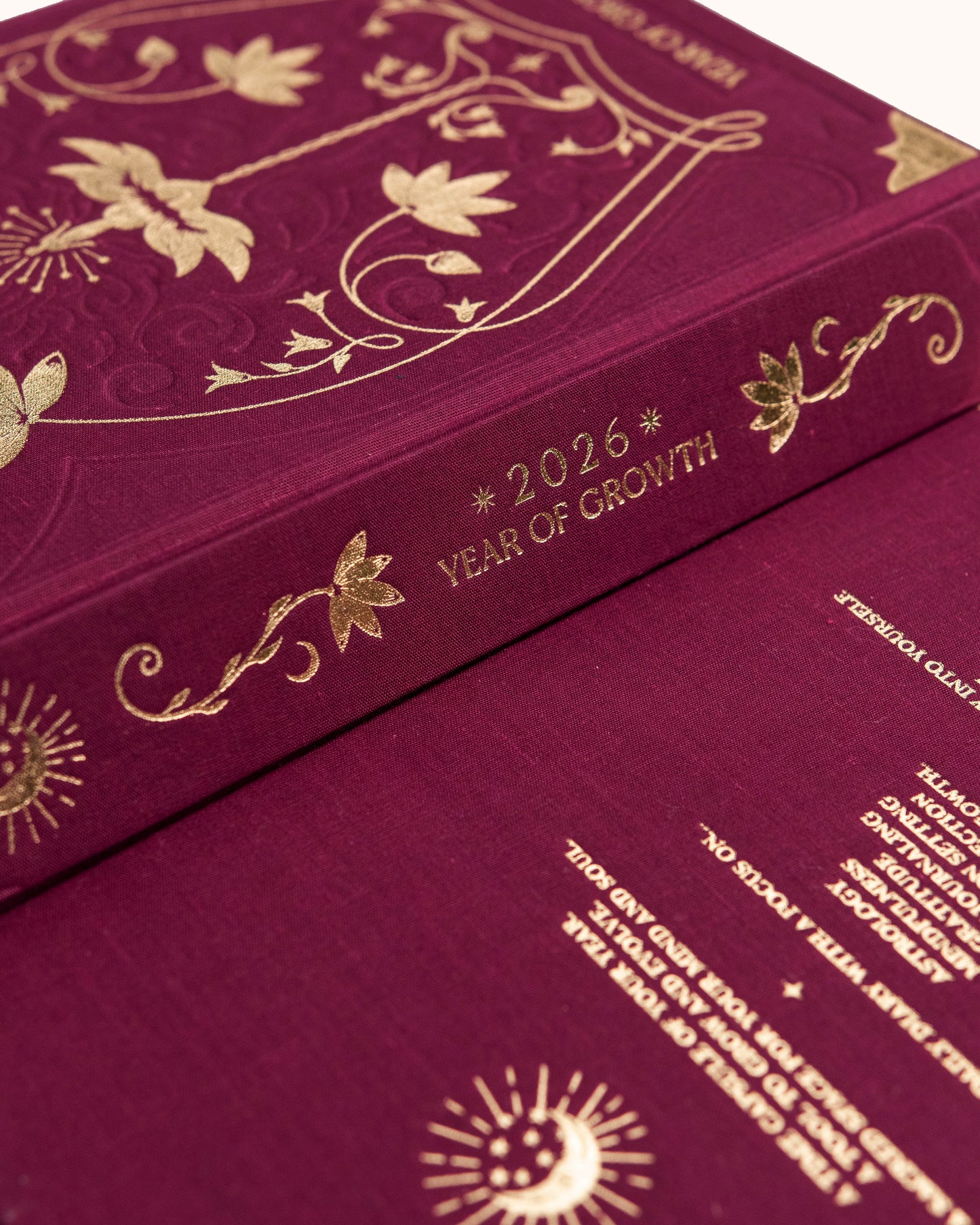 Journal Year of Growth 2026