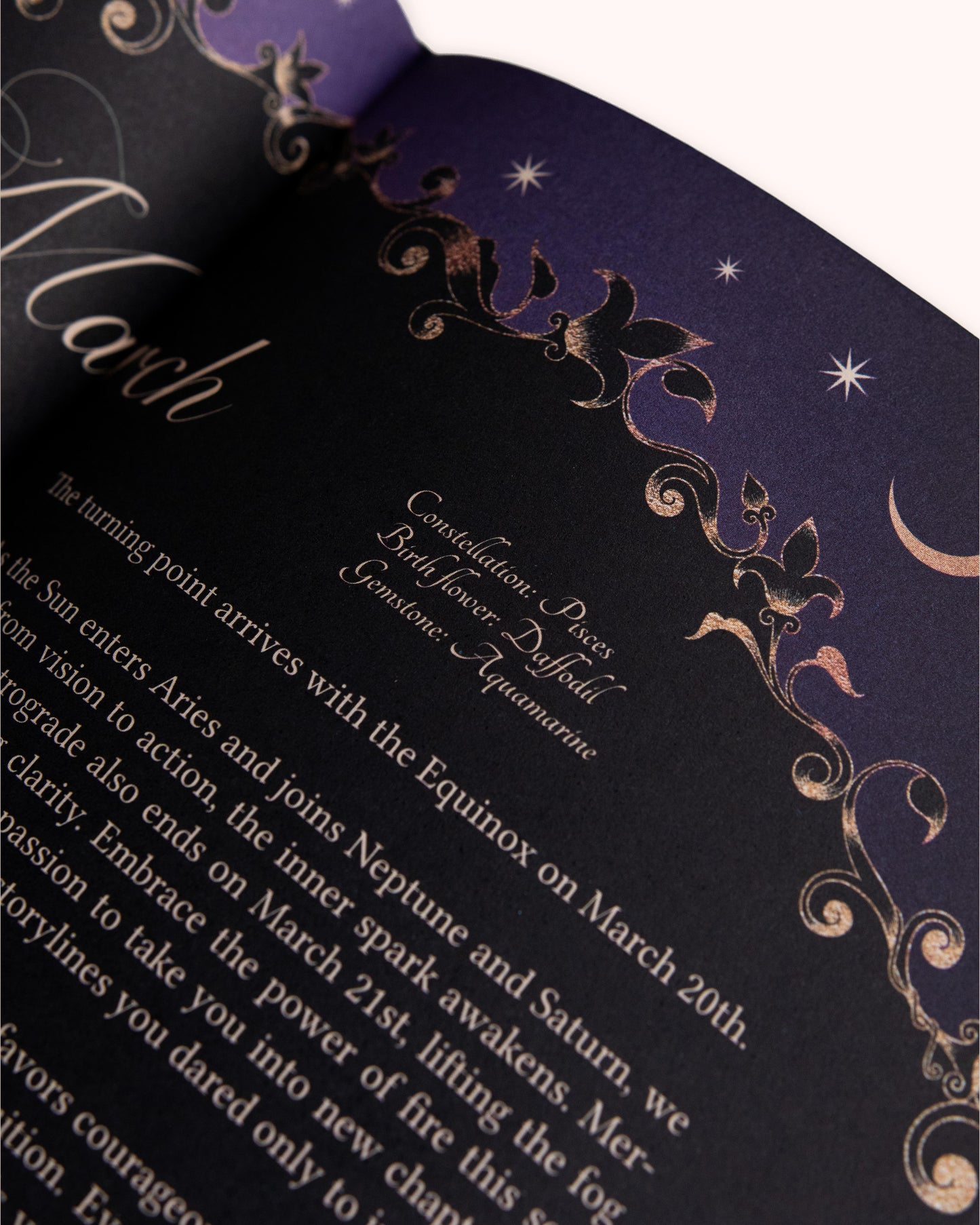 Journal Year of Growth 2026