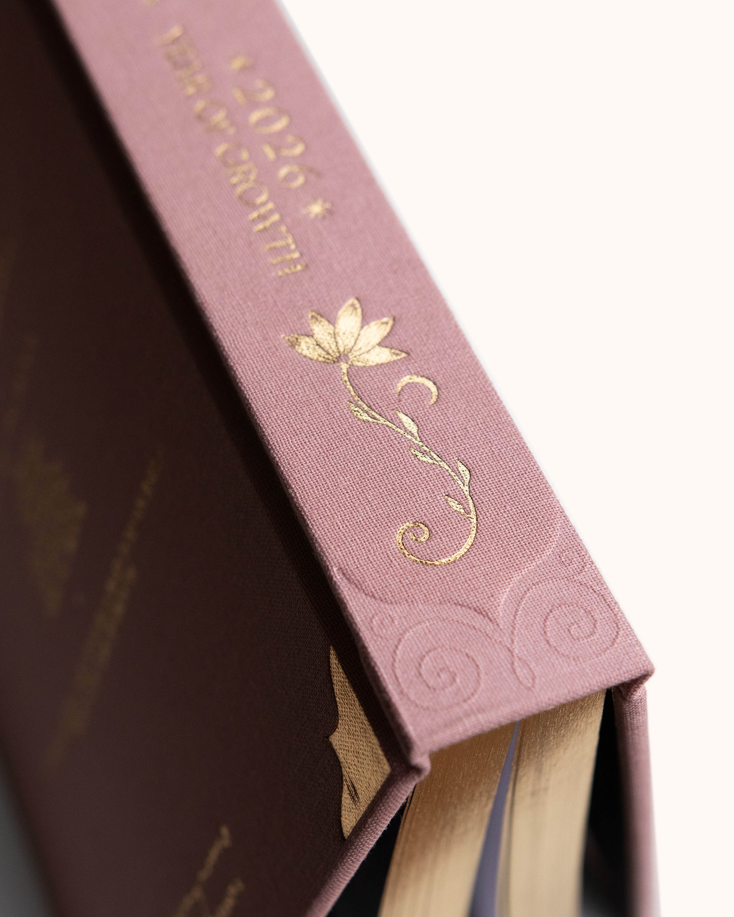 Journal Year of Growth 2026