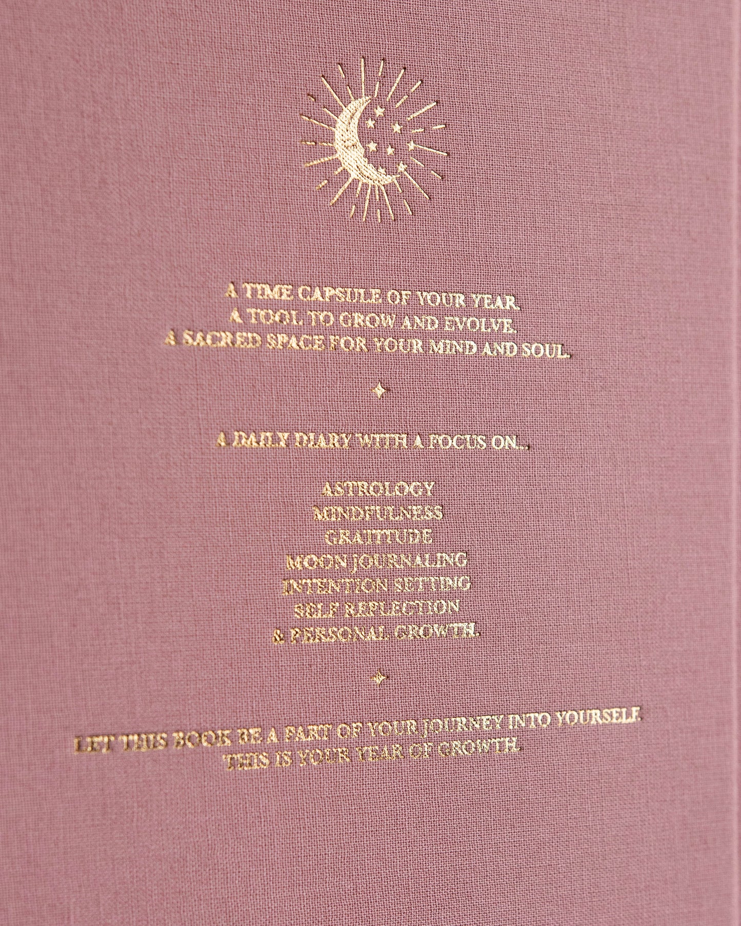 Journal Year of Growth 2026