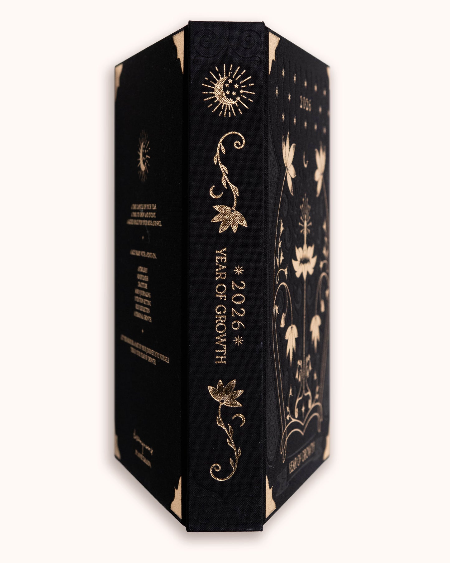 Journal Year of Growth 2026