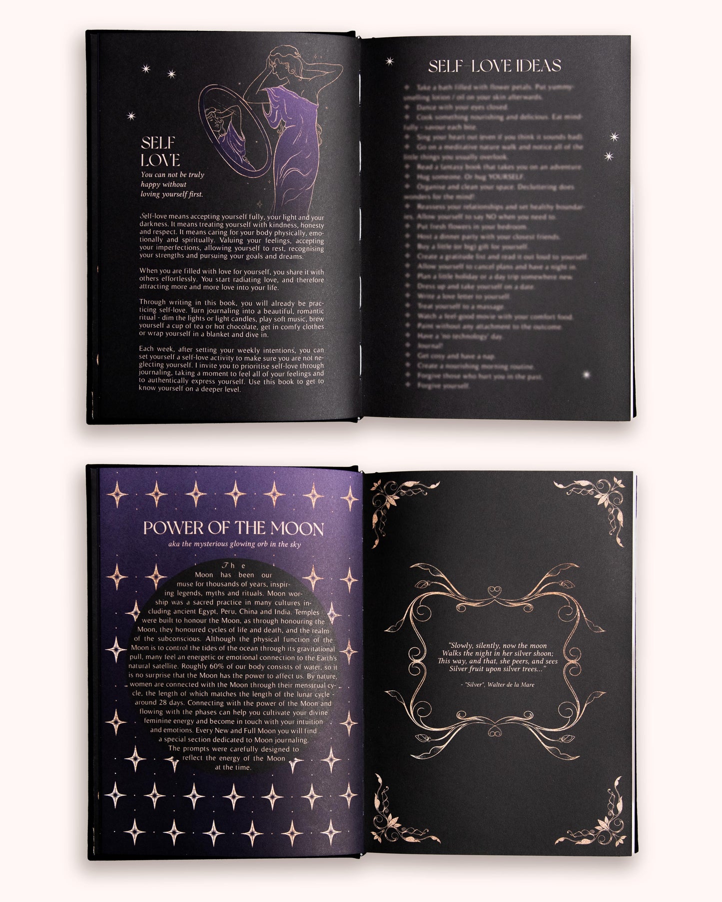 Journal Year of Growth 2026