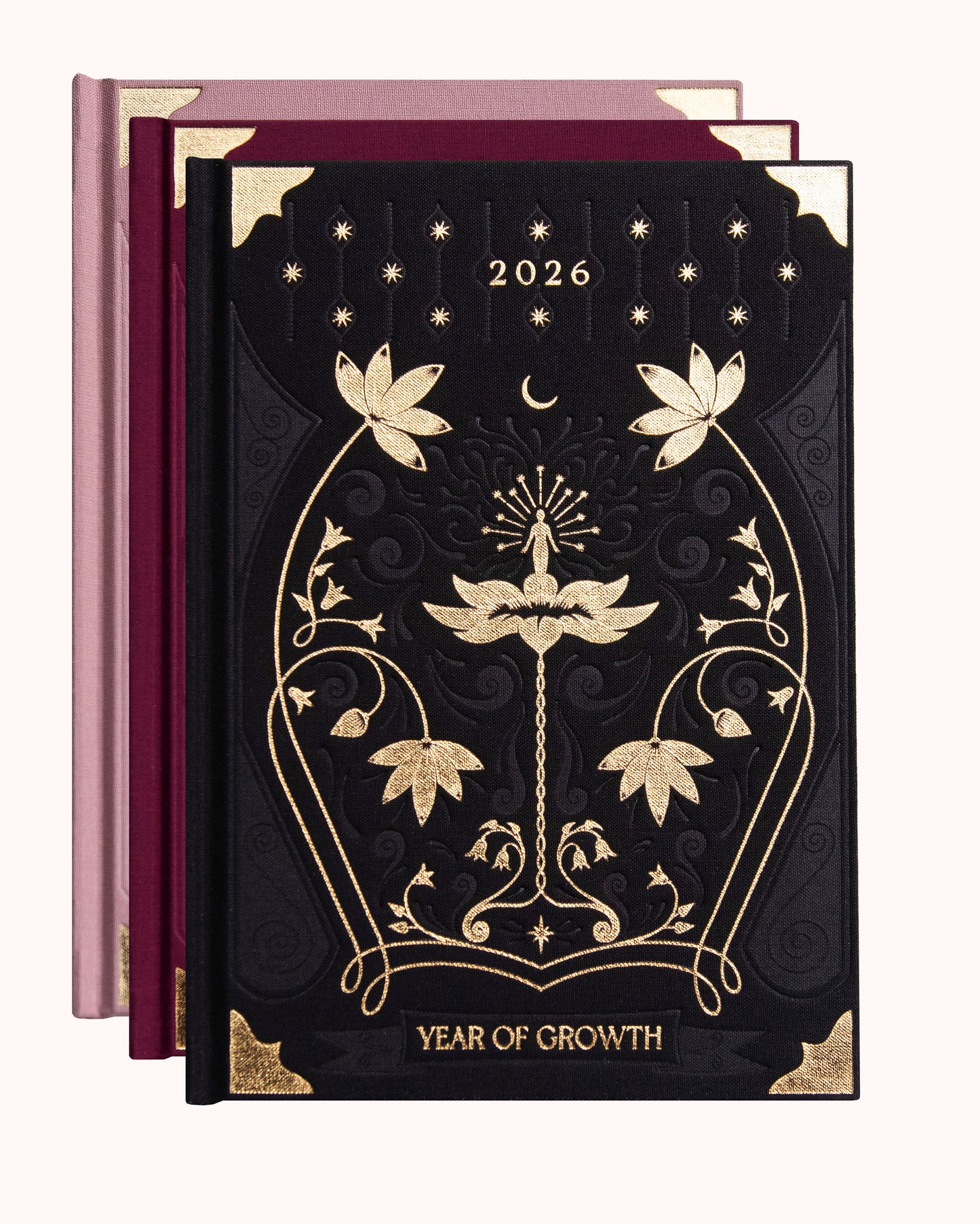 Journal Year of Growth 2026