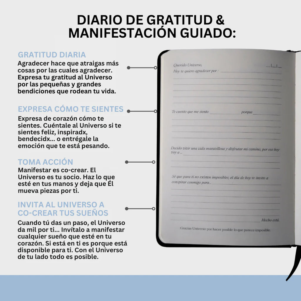Gratitude and Manifestation Journal