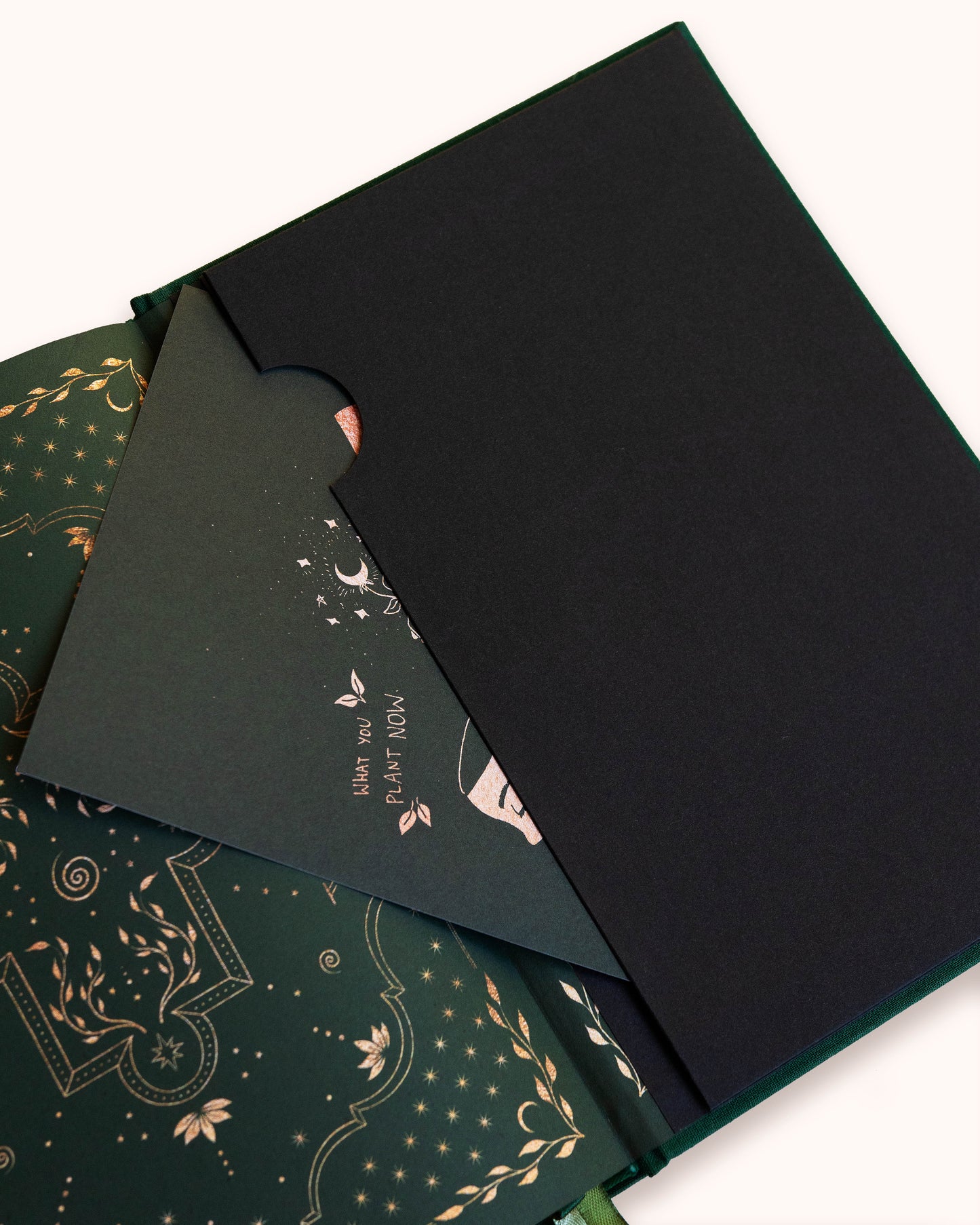 Planeador de Abundancia