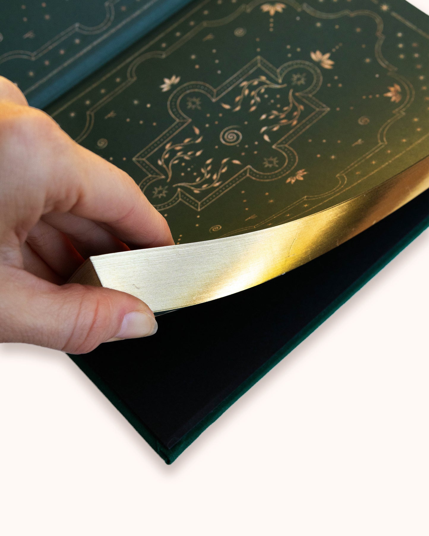 Planeador de Abundancia