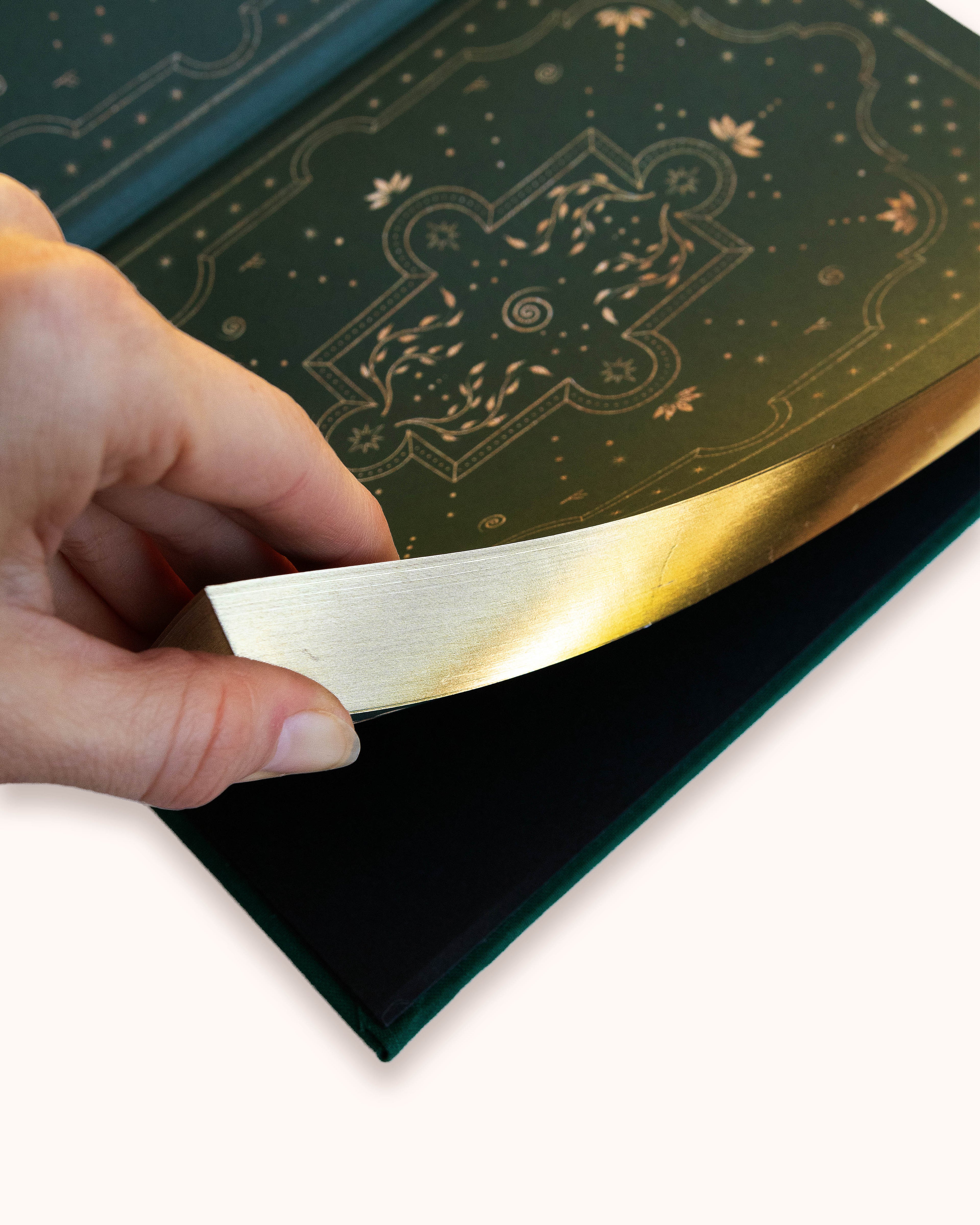 Planeador de Abundancia