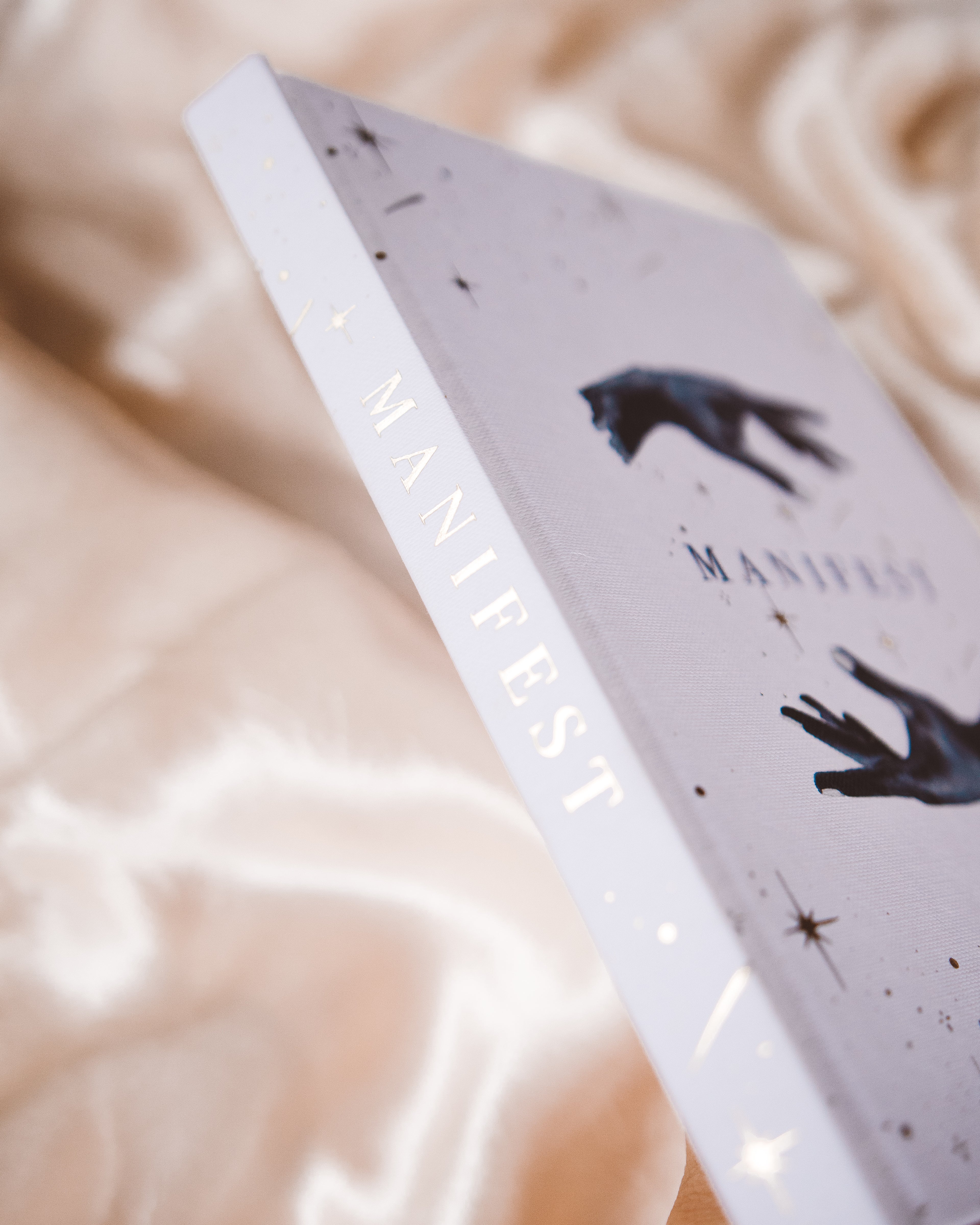 Manifestation Journal